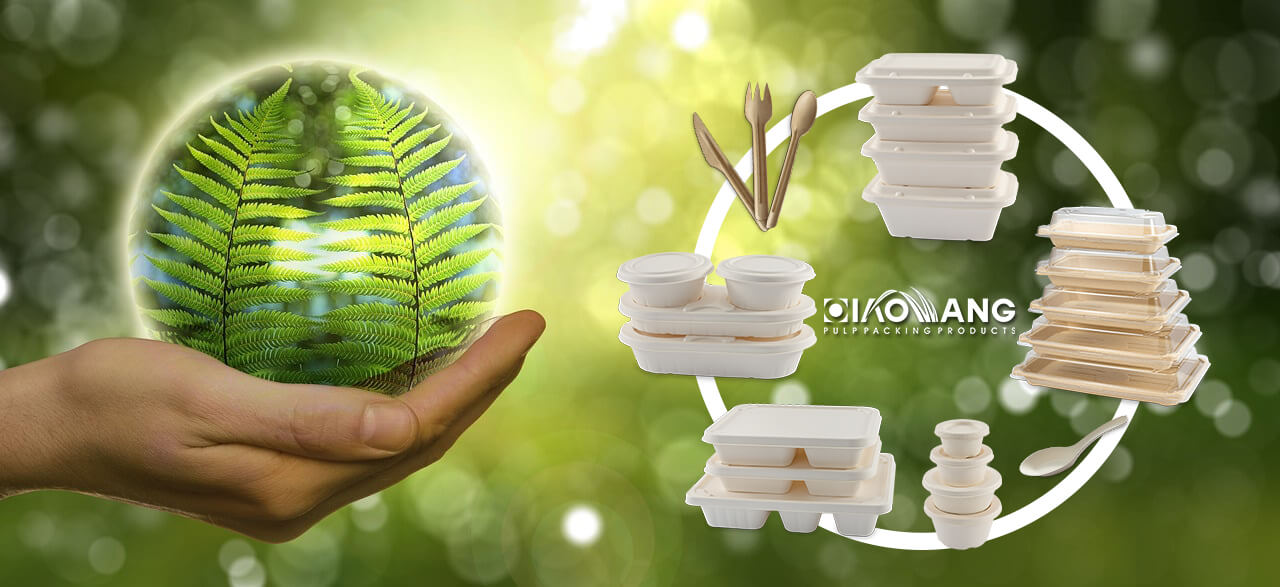 Qiaowang: Pioneering Sustainable Food Packaging Solutions for a Greener ...